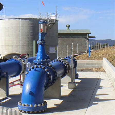 Professional plumbing site consultation